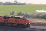 BNSF 7806